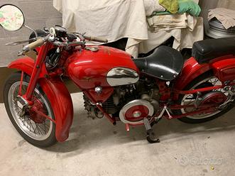 Moto guzzi falcone Vendita in Moto e scooter