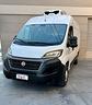 fiat-ducato-furgone-frigo-congelatore