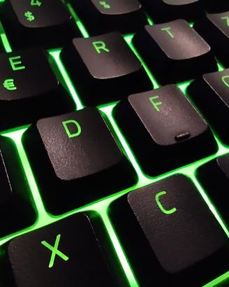 Razer Ornata Chroma - GERMAN LAYOUT