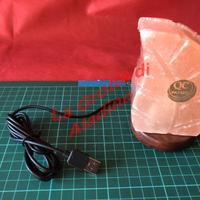 Lampada USB forma di foglia LED a colori variabili