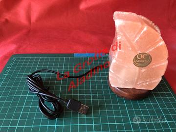 Lampada USB forma di foglia LED a colori variabili