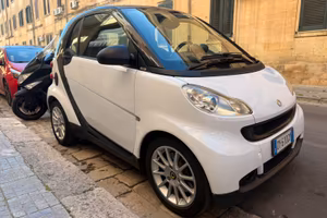 SMART 2009