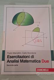 Esercitazioni di Analisi Matematica Due zanichelli