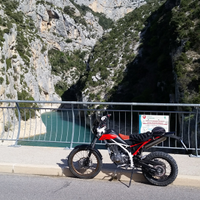 Beta alp
