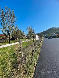 Terreno Edificabile Commerciale prezzo trattabile