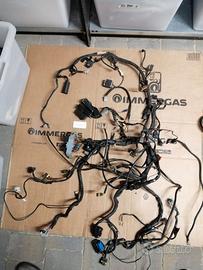 Impianto elettrico moto guzzi Stelvio 1200