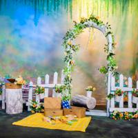 Scenografia carnevale