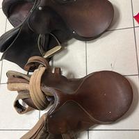 Selle cavalli