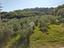 Immagine 14