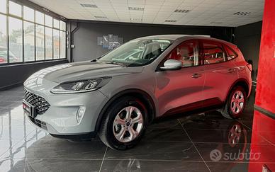 Ford Kuga 1.5 EcoBlue 120 CV aut. 2WD ST-Line