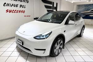Tesla Model Y Single Motor rwd