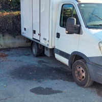 Iveco Daily cella frigo