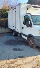 Iveco Daily cella frigo