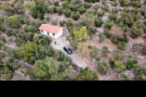 Casa con uliveto a Sonnino