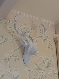 coppia di testa di cervi