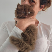 Allevamento Tirabaci