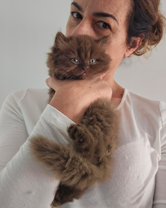 Allevamento Tirabaci