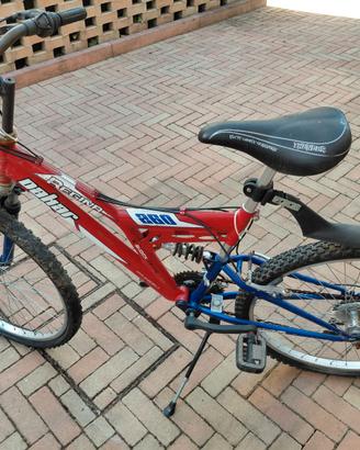 bicicletta