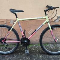 Bici MTB Ghiaroni