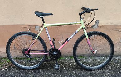 Bici MTB Ghiaroni
