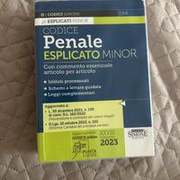 Libro Codice Penale Esplicato Minor