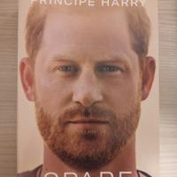 Spare En La Sombra Principe Harry