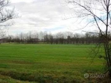 Terreni agricoli tra Reggio e Rubiera