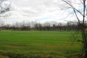 Terreni agricoli tra Reggio e Rubiera
