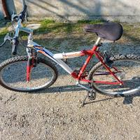BICICLETTA MOUNTAINBIKE