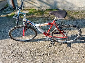 BICICLETTA MOUNTAINBIKE