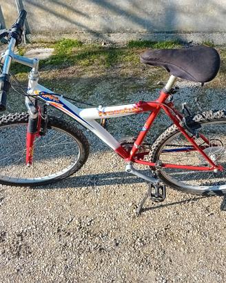 BICICLETTA MOUNTAINBIKE