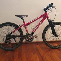 Bici Focus Raven Rookie 24