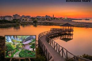 Rif.BA704- villino rosolina