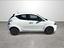 Immagine 7