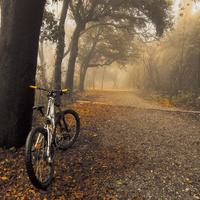 Gt fury dh al
