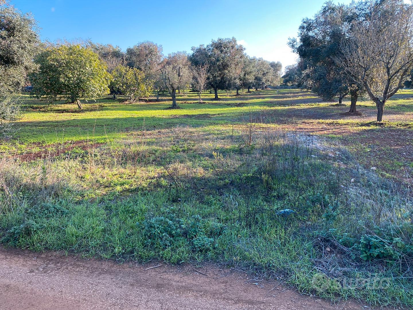 Terreno agricolo edificabile - Vista 2