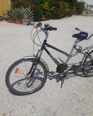 TANDEM SMART 2 POSTI