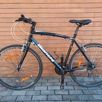 Bianchi Camaleonte