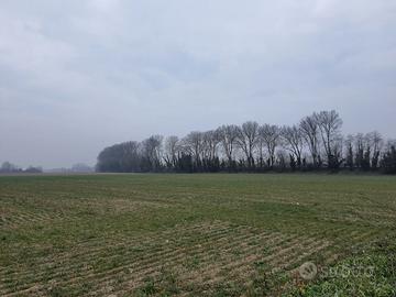 TERRENO AGRICOLO A VILLAMARZANA