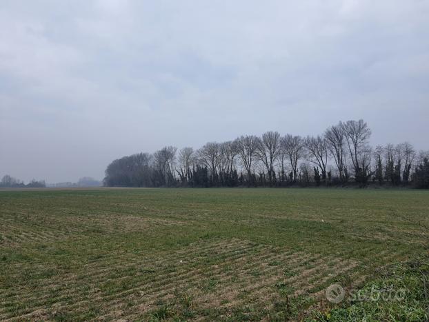 TERRENO AGRICOLO A VILLAMARZANA