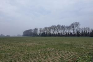 TERRENO AGRICOLO A VILLAMARZANA