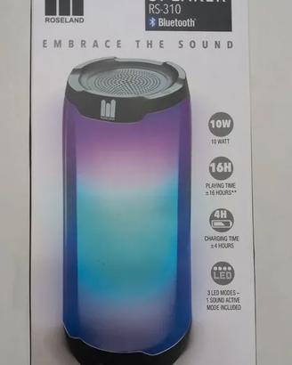 Altoparlante Bluetooth portatile Roseland RS-310 c