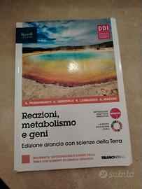 REAZIONI, METABOLISMO E GENI