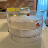 Germinatore BIO SNACKY