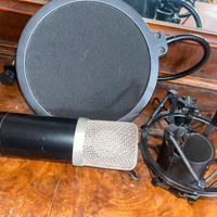 Microfono a condensatore entry level