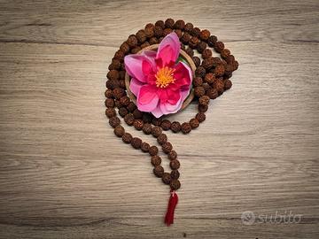 Mala in Semi di Rudraksha - 107 Grani