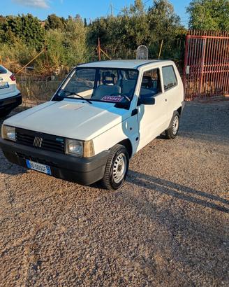 Fiat Panda 900 i.e. cat Young