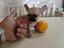 Immagine 1