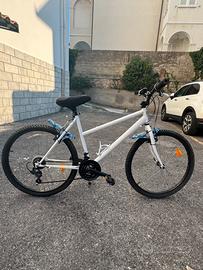 Mtb donna
