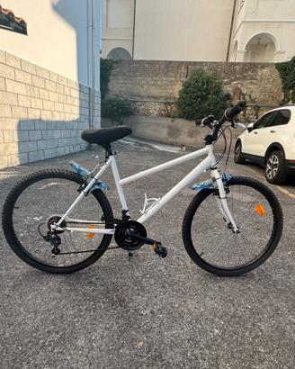 Mtb donna
